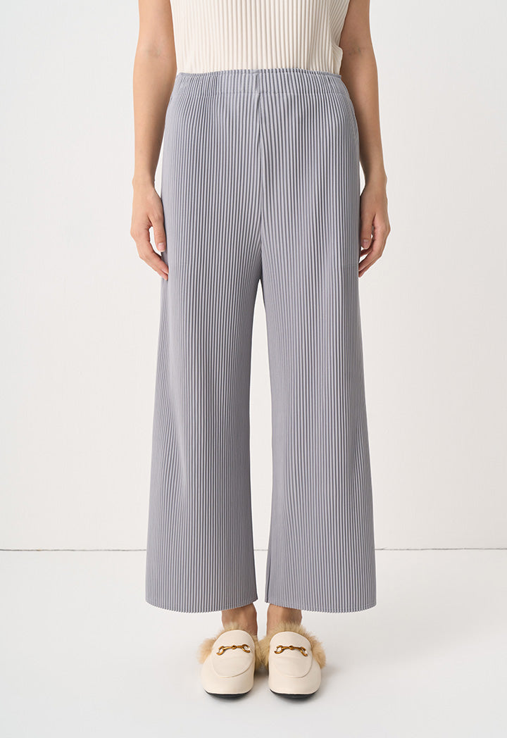 Choice Single Tone Pleated Trousers Grey